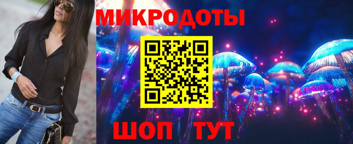 Котовск  Галлюциногенные грибы мухоморы  Галлюциногенные грибы Magic Shrooms  Вход с VPN 