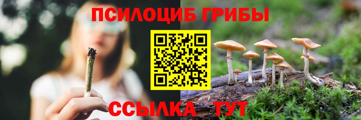 Галлюциногенные грибы Cubensis Котовск